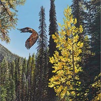 genecate-GoldenEagle-thumb