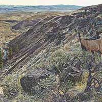 genecateBIGCREEK-thumb