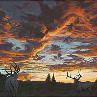 genecateDuelatDusk-thumb