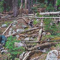 genecateUNEXPECTEDVISITOR-thumb-2