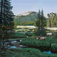 genecateWaitingforDark-thumb